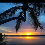 Joey Hendricks - @joey_fla - Instagram