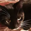 joey_delrossi123 - @joey_hope123 - TikTok