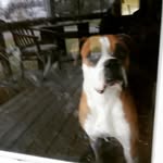 Joey Huff - @jwhuff88 - Instagram
