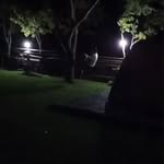 郭昱佑 - @joey.kuo16 - Instagram