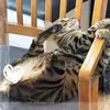 joeykuo580 - @joeykuo580 - TikTok