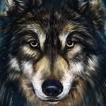 Joey Leach - @leach.joey - Instagram