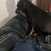 Joey Leonard - Facebook