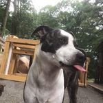 Joey Leone - @joey.leone.161 - Instagram