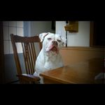 Joe Maxey - @joe.maxey.5 - Instagram