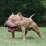 joey maxey - @yeetus_cletus_ - Instagram