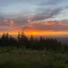 Joey - @joey.mayo1 - TikTok