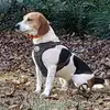 Joey Mayo - @joey.mayo - TikTok