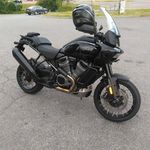 Joey Meadows - @joey.meadows.940 - Instagram