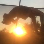 Joey Milton - @jmilton_337 - Instagram