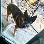 Joey Miranda - @joeyahahahahhaahh - Instagram