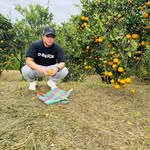 Joey Miranda - @joeymiranda17 - Instagram