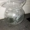 moss ball - @joey.moss.ball - TikTok