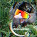 Joey Munoz - Facebook