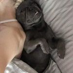 Joey - @joey_orourke_ - Instagram