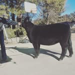 joey patton - @patton4293 - Instagram