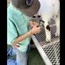 Joey Patton - Facebook