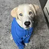 Joey Paul - @joey.paul - TikTok