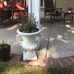 Joey Paul - Facebook