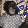 Joey - @joeypyles - TikTok