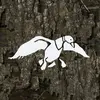 Joey Pyle - @joey.pyle - TikTok