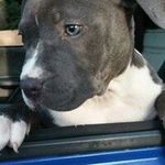 Joe Quick - @joe.quick - Instagram