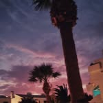 @joey.roe5 - Instagram