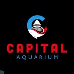 Joey Schell - @joeycapitalaquarium - Instagram