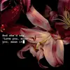 Joey Scheller - @joey.scheller - TikTok