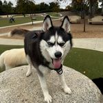 Joey Serrano - @rulost23 - Instagram