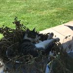 Joey Sprague - @joey_sprague_19 - Instagram