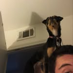 Joey Sumner - @joey_sumner11 - Instagram