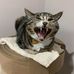 Joey Tang - Facebook