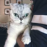 Joey Tang - @joeybee1201 - Instagram