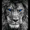 Joe Tate - @user37660972 - TikTok