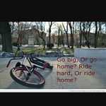 Joey Todd - @bmx_kid_joey_todd - Instagram