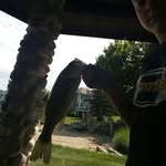 joey tracy - @joey.tracy - Instagram