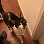 @joey_vail1 - Instagram