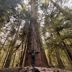 Joey Vail - @joey_vail02 - Instagram