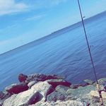 Joey Williamson - @joey_williamson219 - Instagram