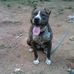 Joey Williamson - Facebook