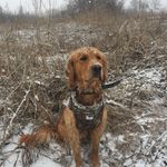 Joey Williamson - @joey_williamson1 - Instagram