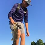 Joey Willis - @joeys_fishing - Instagram
