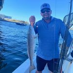 Joey Wright - @joeywright7455 - Instagram