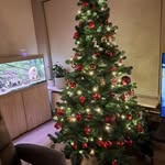 Johan Bruins - @bruinsjohan - Instagram