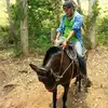 Johan Dominguez - @johan.dominguez2 - TikTok