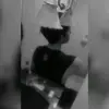 Johan Dominguez - @johan___suuu - TikTok