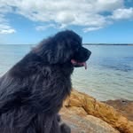 Johan Erasmus - @johanerasmus84 - Instagram