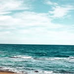 Johan Erasmus - @johan_erasmus07 - Instagram