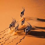 Johan Erasmus - @johanerasmus2005 - Instagram